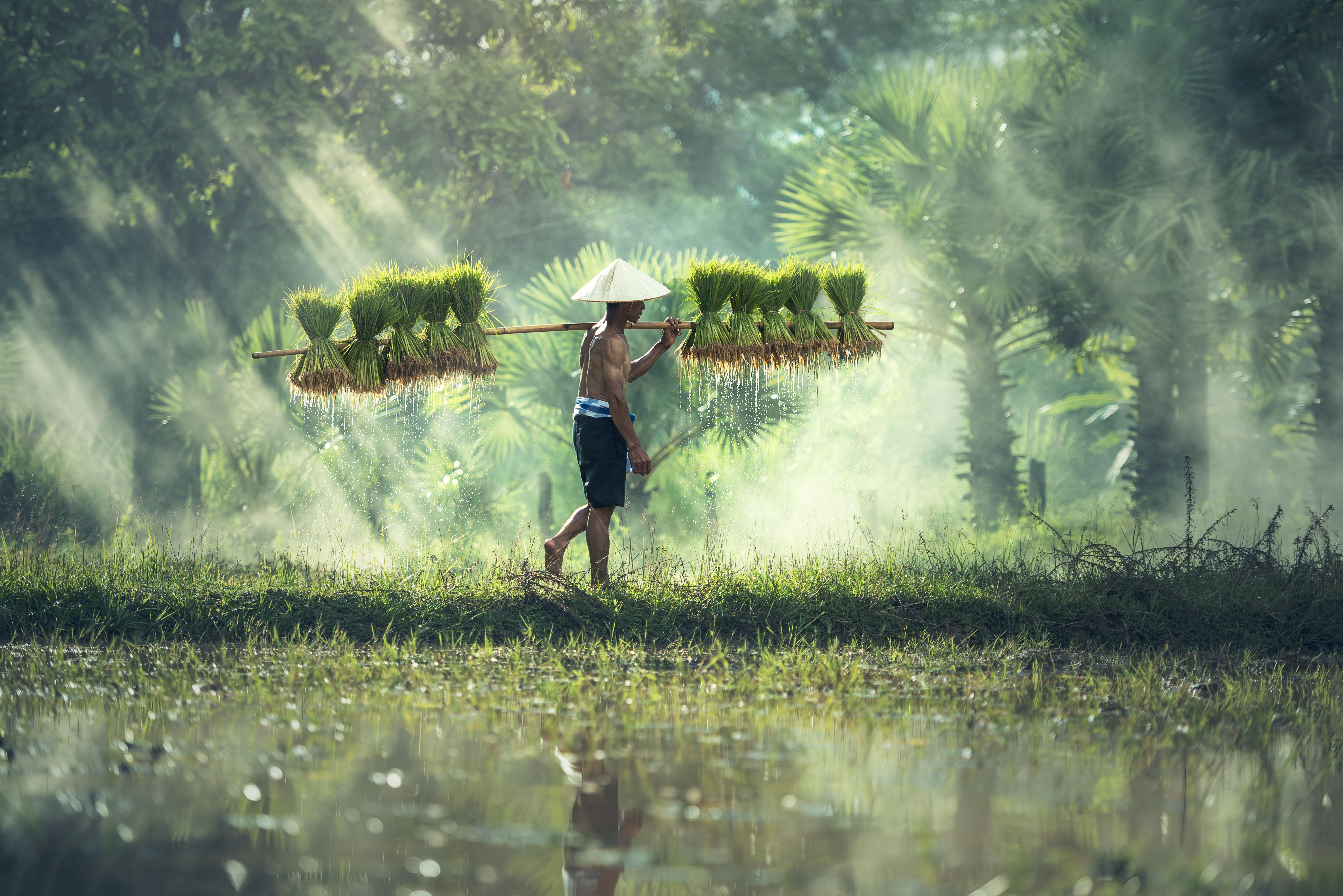 Agriculture services in the field